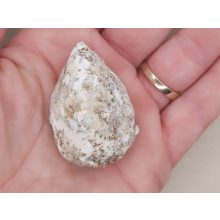 Achát csiszolt geoda