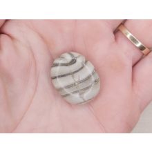 Aragonit lapos kicsi marokkő