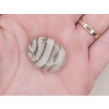 Aragonit lapos kicsi marokkő