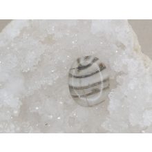 Aragonit lapos kicsi marokkő