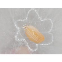 Barack achát medál