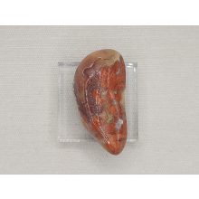 Breccsa jáspis marokkő