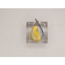 Bumble Bee jáspis medál kaboson