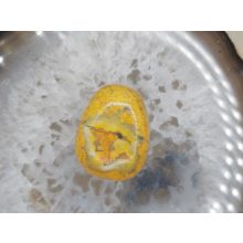 Bumble Bee jáspis marokkő nagy