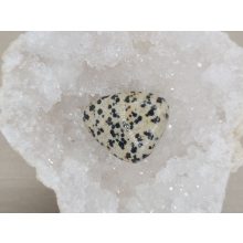 Dalmát jáspis marokkő