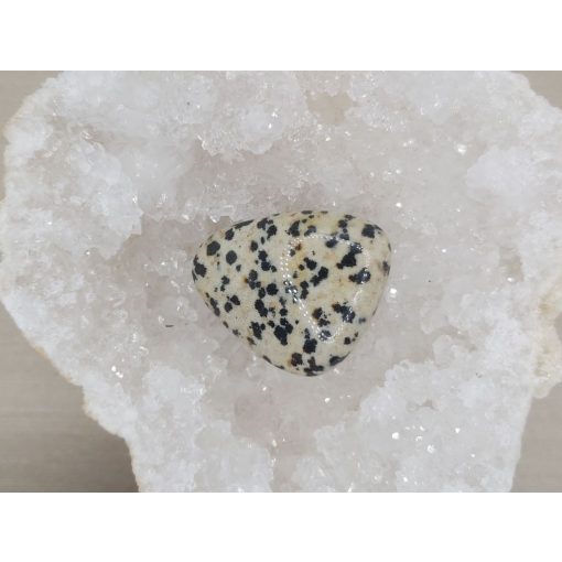 Dalmát jáspis marokkő