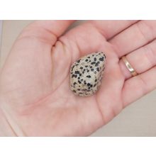 Dalmát jáspis marokkő nagy