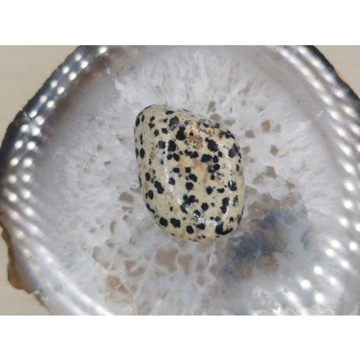 Dalmát jáspis marokkő nagy