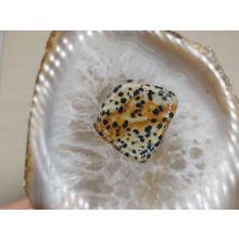 Dalmát jáspis marokkő nagy