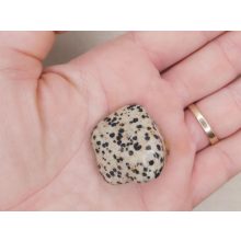 Dalmát jáspis marokkő nagy