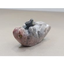 Hód zsírkő állat