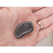 Korall marokkő fekete