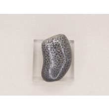 Korall marokkő fekete