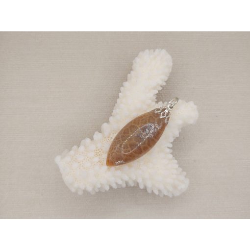 Korall medál /fosszilis/