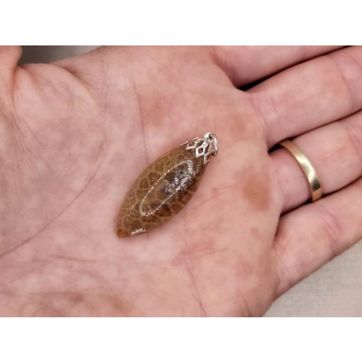 Korall medál /fosszilis/