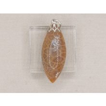 Korall medál /fosszilis/