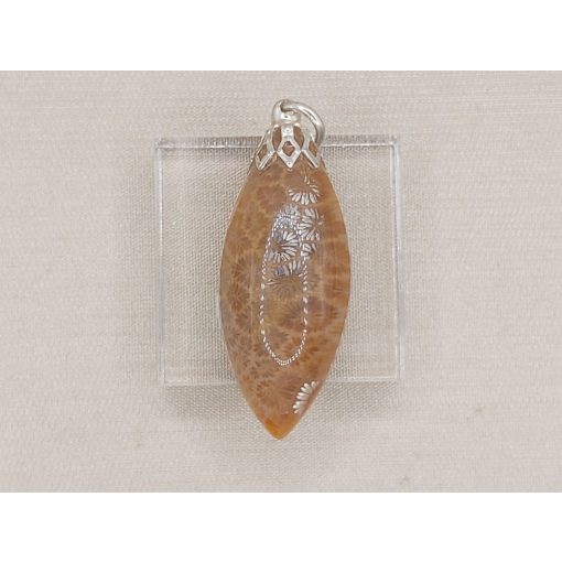 Korall medál /fosszilis/