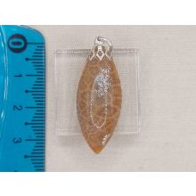 Korall medál /fosszilis/