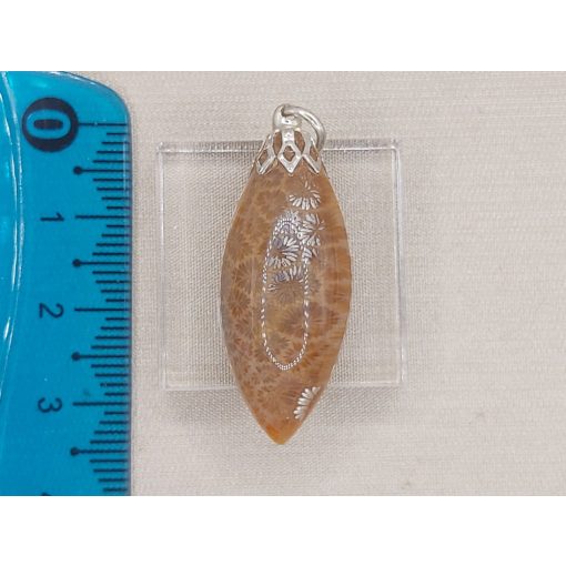 Korall medál /fosszilis/