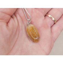 Korall medál /fosszilis/