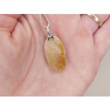 Korall medál /fosszilis/