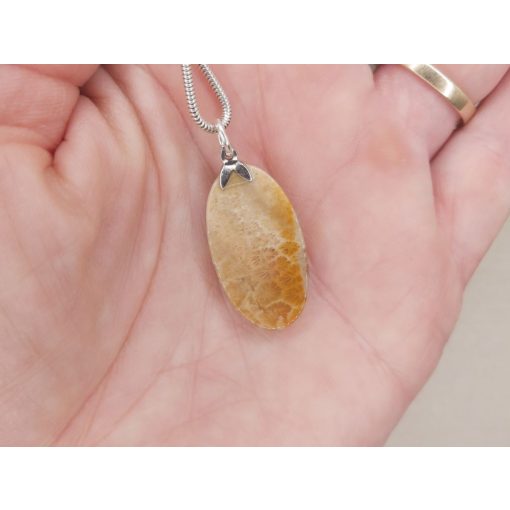 Korall medál /fosszilis/