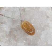 Korall medál /fosszilis/