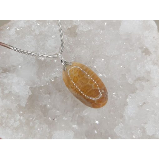 Korall medál /fosszilis/