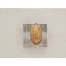 Korall medál /fosszilis/