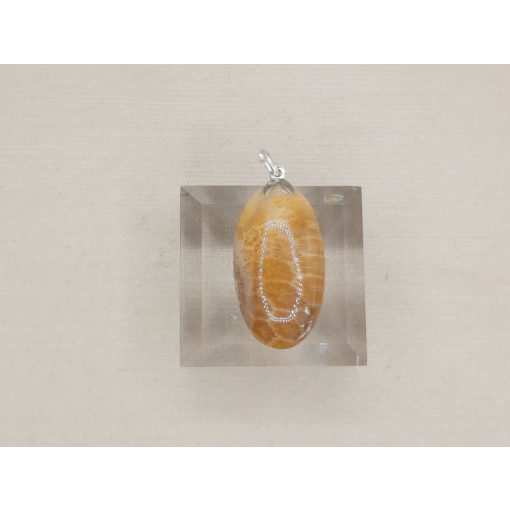 Korall medál /fosszilis/