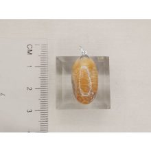 Korall medál /fosszilis/