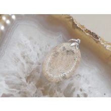 Korall medál /fosszilis/