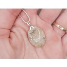 Korall medál /fosszilis/