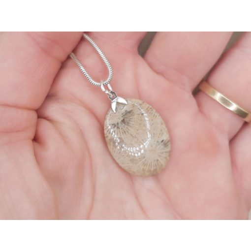 Korall medál /fosszilis/