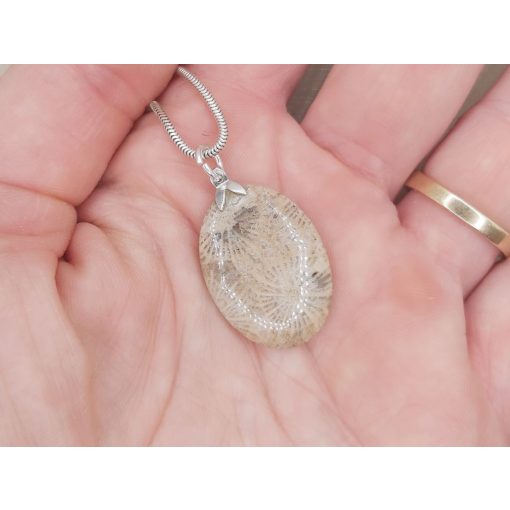 Korall medál /fosszilis/