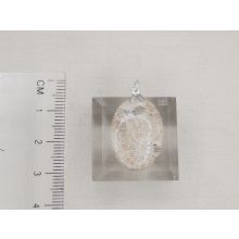 Korall medál /fosszilis/