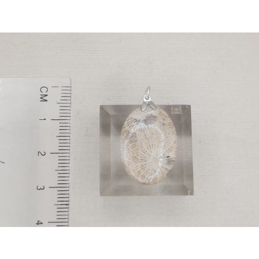 Korall medál /fosszilis/