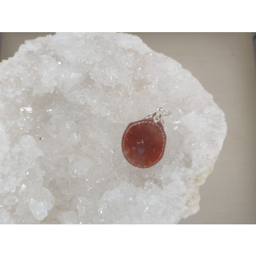 Korall medál /Horn/