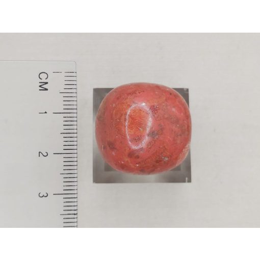 Korall marokkő nagy