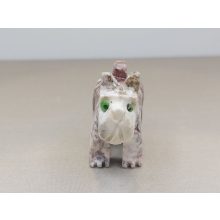 Kutya zsírkő állat