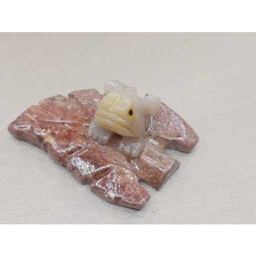 Levelibéka zsírkő állat