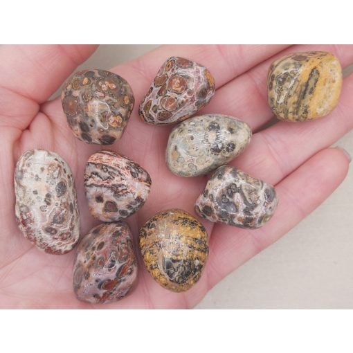 Leopárd jáspis marokkő véletlenszerűen