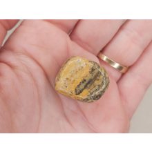 Leopárd jáspis marokkő