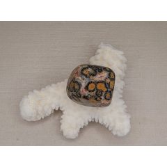 Leopárd jáspis marokkő