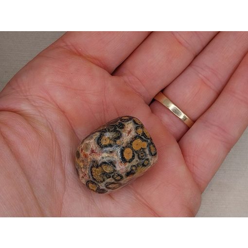 Leopárd jáspis marokkő