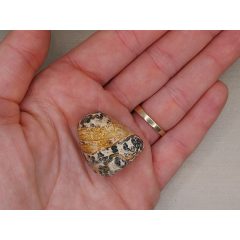 Leopárd jáspis marokkő