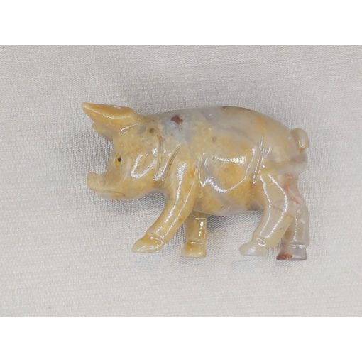 Malac zsírkő állat