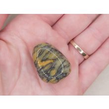 Dentrites opál marokkő