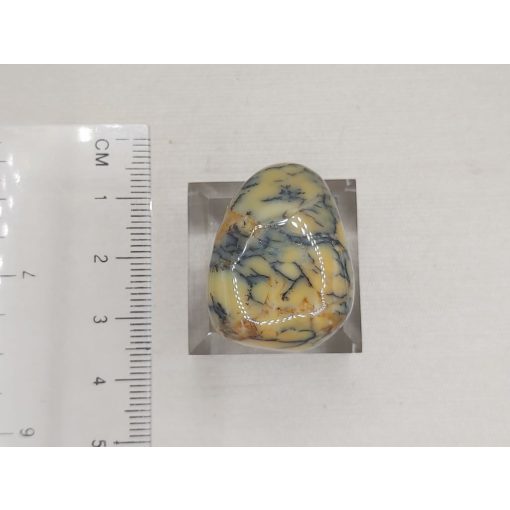 Dentrites opál marokkő