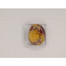 Mokkait marokkő lapos